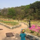 양평쉬자파크 이미지