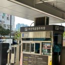 양가손만두부전