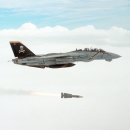 F14 이미지