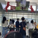 (주)해피브릿지 공주공장 | [하림 펫푸드 해피댄스 스튜디오 세번째 방문기] 진도코기 윤익혼의 하림펫푸드 스튜디오 투어_만원으로...