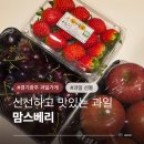 고산농협 매호점 앞 | 경기광주과일가게 맘스베리 답례품 과일선물세트 선물하기 좋은 곳