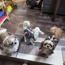 서울한영대학교 상담복지대학원 | 🌿노원점집 진짜용한 천지당 노원구점집 서울유명점집🌿