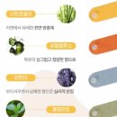 스톤 모기퇴치 팔찌 | 야구 축구 경기 준비물 돈바이트미 모기퇴치팔찌 모기기피제 후기