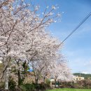 주사랑어린이집 이미지