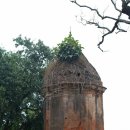 아쇼카빌 | [해외여행] 인도여행 후기 #카필라바스투