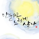 느리게살자 이미지