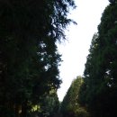 송암리 66-2번지 앞 | 제주 구좌읍 송당리 오름, 밧돌오름 / 안돌오름 산책 후기