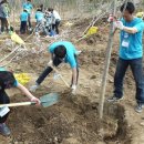 더블에이코리아 이미지