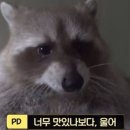 소나무 펜션 이미지