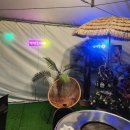 낭만조개 이미지