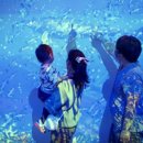 얼라이브홀 이미지