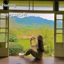 [하동] 매암제다원 하동 녹차밭 카페 매암다방 메뉴 매암차박물관 하동 녹차밭 포토존