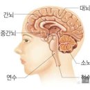 테무에서 산 1만원대 포토프린트기 후기 (이건 찐 강추)