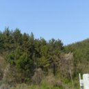 신두리보건진료소 이미지