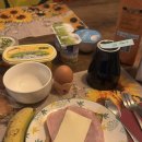 다움약국 | [산티아고 순례길] 5일차 푸엔떼 라 레이나 -> 에스떼야 아고라 호스텔 후기