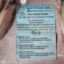 군산박대왕 이미지