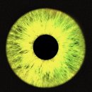 (주)우진팜 | 우린 떴다가 하루만에 사라지는 별