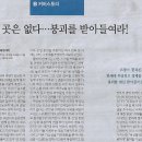 에코방스 이미지
