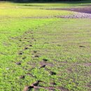 법수리마을 이미지