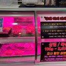 옵티멈존 PC카페 종각역점 이미지