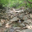 옹심이팥죽 이미지