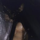 JK MOTORS(제이케이모터스) 이미지