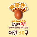 [한스팜] 구운계란 짜라란 중란 , 대란 맥반석 훈제 구운란[국내산] 체험단모집 10명 (~7/10)