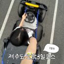 비에노즈 | 여행 2박3일 코스 - 1일차] 넉둥베기, 9.81파크, 비에노즈 카페, 픽업카페 애월점, 안돈 오마카세, 리치...