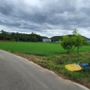 강동면사무소 이미지