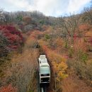 (주)팬스타트리(담) | 경기 광주 화담숲 11월말 방문 후기