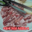 수정식육식당 이미지