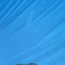 윤서축산 이미지