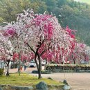 우곡보건지소 이미지