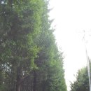 노현농장 | [등산 산책] 광명 도덕산 도덕정 20131008