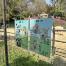 어린이대공원 제5호 | 건대입구 무료 락커 정보, 어린이대공원 짐보관 내돈내산 후기