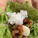 은성장모텔 | 천안역 맛집 조양식당 오삼불고기 추천 (ft. 동남구청 근처 점심 식사하기 좋은 곳)