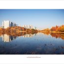 데칼코마니 이미지