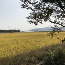 다사랑화원