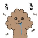 댕그리 이미지