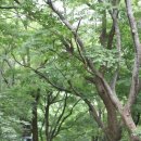 각화사 - 1726 | 각화사