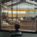 연보람목장 이미지