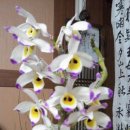 대포초등학교 이미지