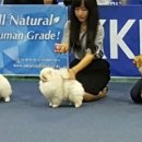 (주)나리안 네이버블로그