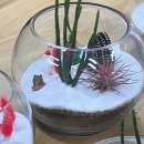 양정유치원 이미지