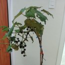 명당경로당 이미지