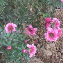 경상남도 수목원(열대식물원) 티스토리