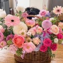 모현동-57 이미지