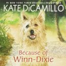 리드앤톡영어독서학원 이미지