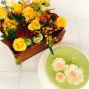 올바른먹거리