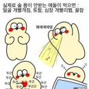 뽕스언니 네이버블로그